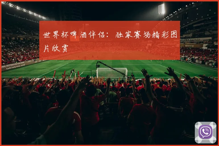 世界杯啤酒伴侣：独家赛场精彩图片欣赏