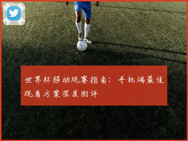 世界杯移动观赛指南：手机端最佳观看方案深度测评