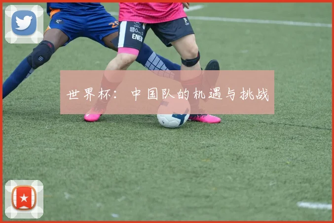 世界杯：中国队的机遇与挑战