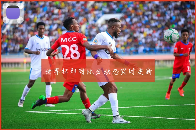 世界杯即时比分动态实时更新