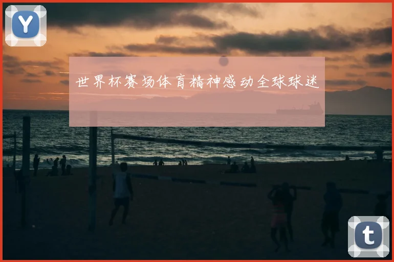 世界杯赛场体育精神感动全球球迷
