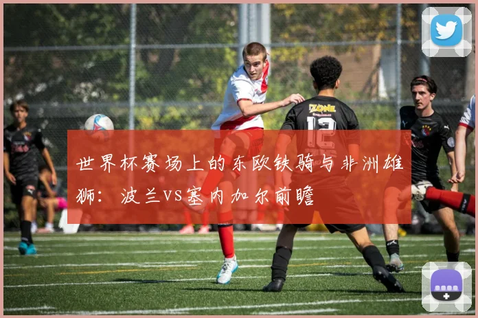 世界杯赛场上的东欧铁骑与非洲雄狮：波兰vs塞内加尔前瞻