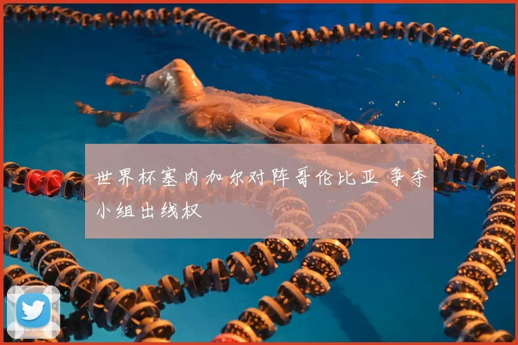 世界杯塞内加尔对阵哥伦比亚 争夺小组出线权