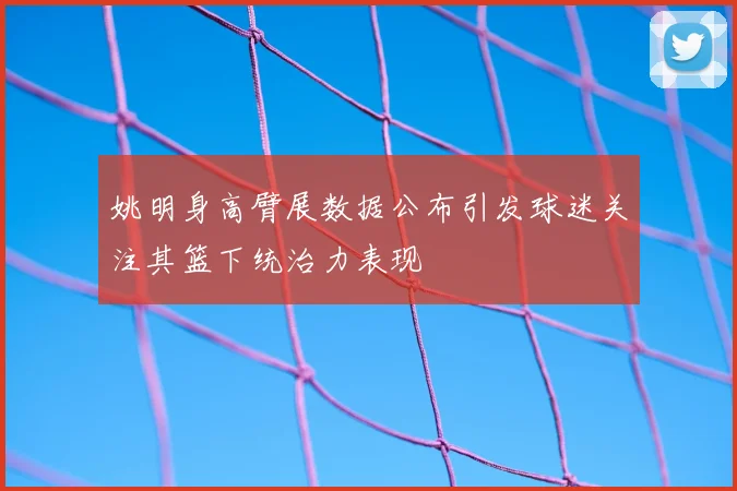 姚明身高臂展数据公布引发球迷关注其篮下统治力表现