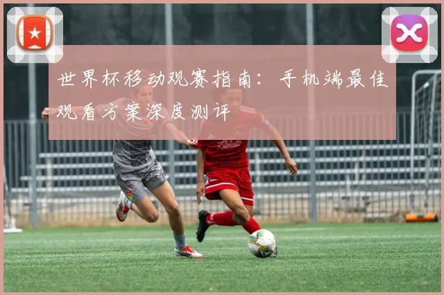 世界杯移动观赛指南：手机端最佳观看方案深度测评