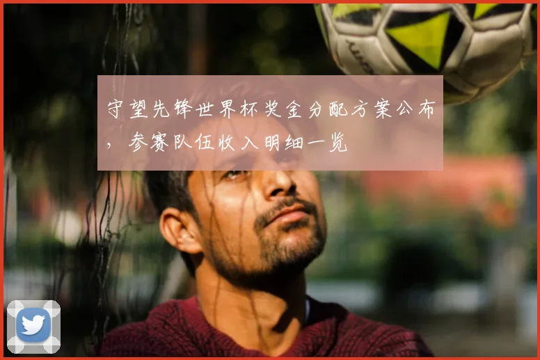 守望先锋世界杯奖金分配方案公布，参赛队伍收入明细一览