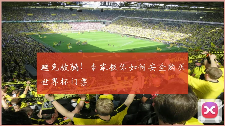 避免被骗！专家教你如何安全购买世界杯门票